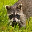 thumbs/IMG_8045.jpg